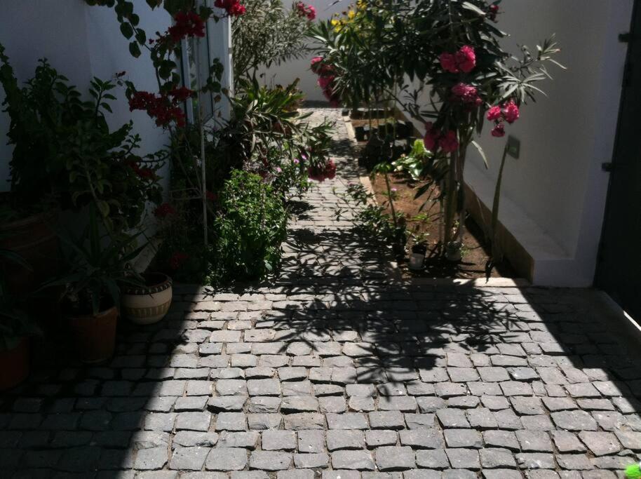 Villa Branca - Seafront Villa Mindelo Lazareto المظهر الخارجي الصورة